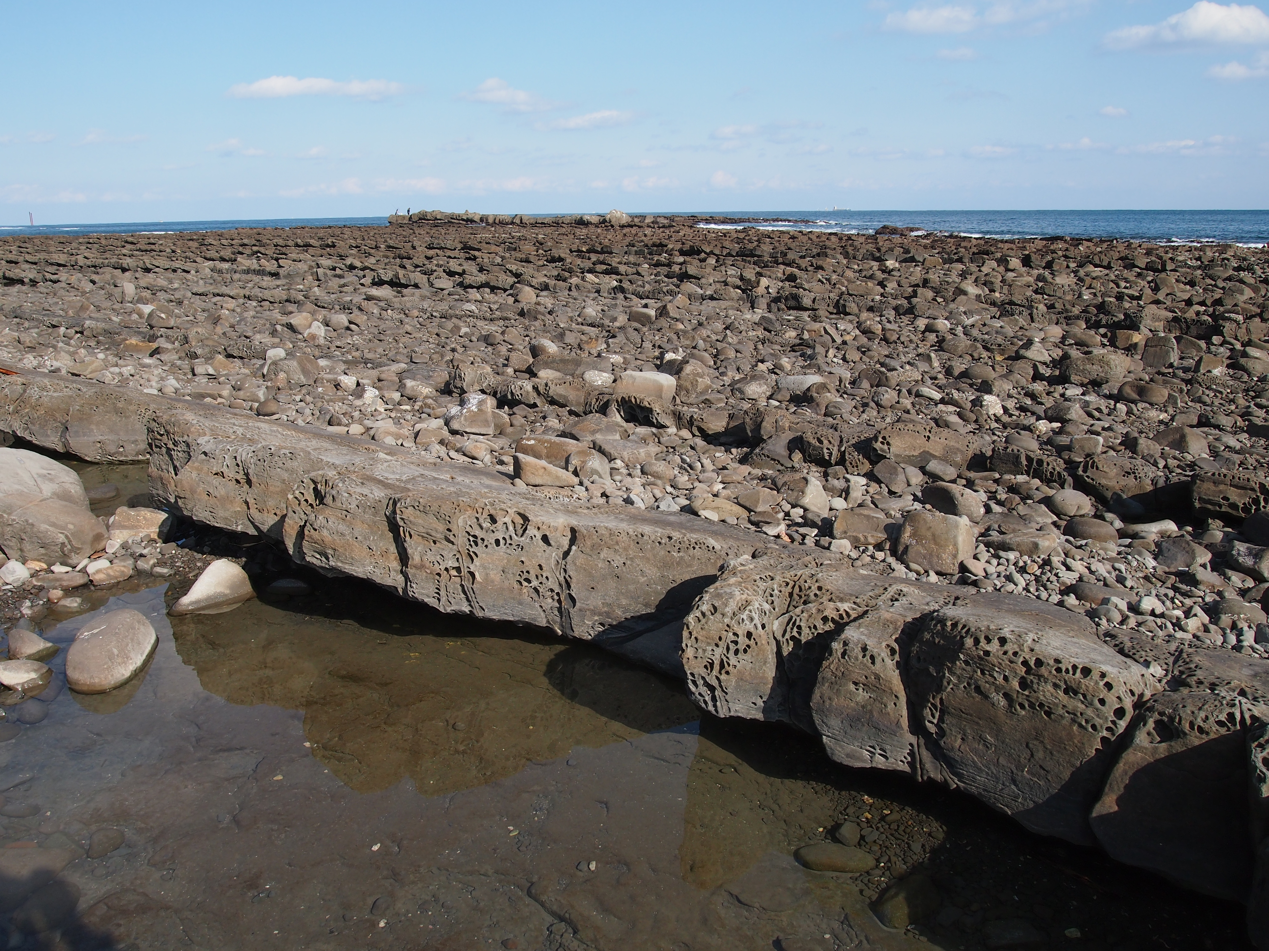 <b>E-P3 / M.ZUIKO DIGITAL 14-42mm F3.5-5.6 II R / 約6.5MB / 4,032×3,024 / 1/400秒 / F8 / 0.0EV / ISO200 / WB:オート / 14mm</b>