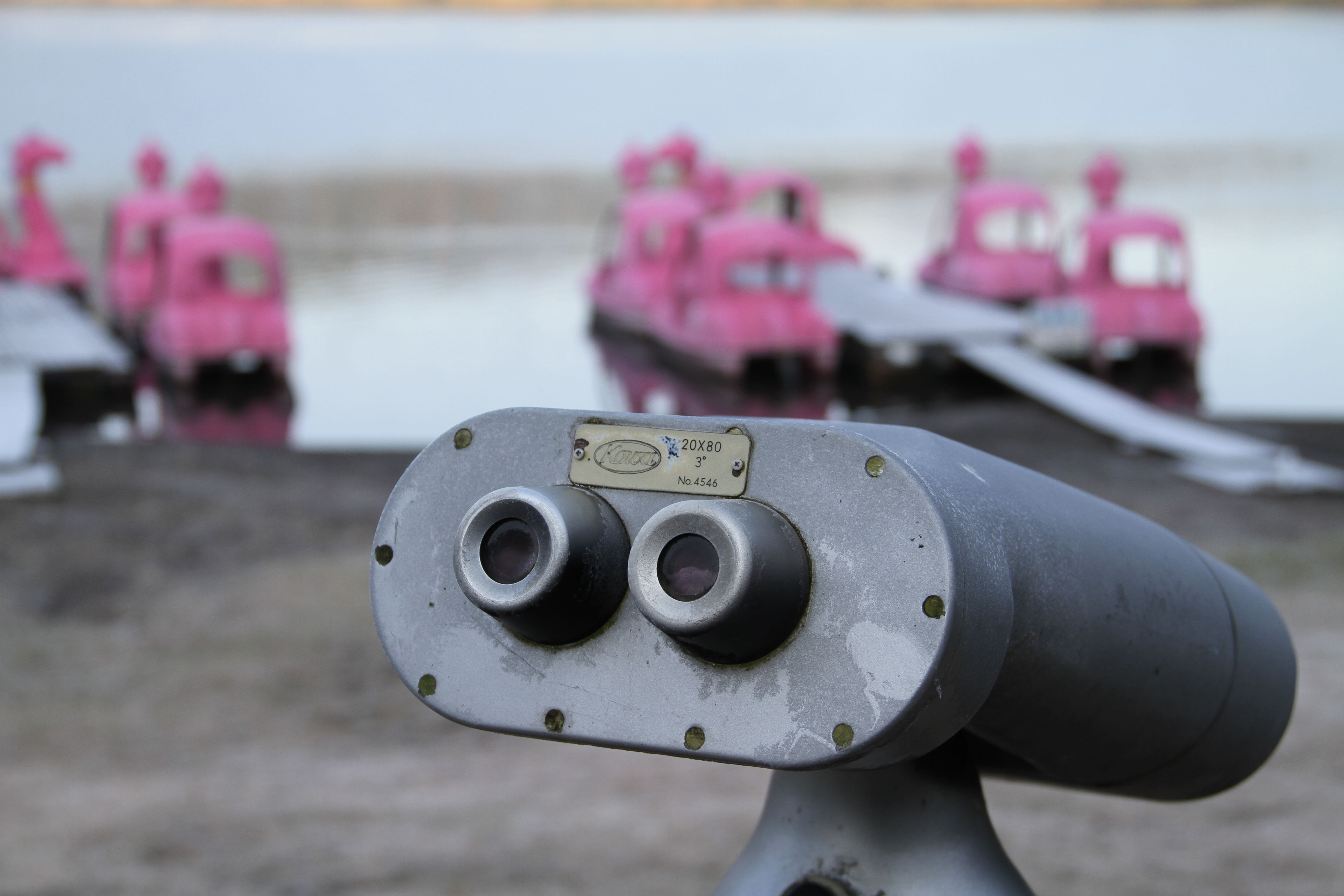 <b>F5.6 / EOS 7D / EF-S 18-135mm F3.5-5.6 IS / 約4.8MB / 5,184×3,456 / 1/160秒 / +0.3EV / ISO100 / WB:オート / 42mm</b>