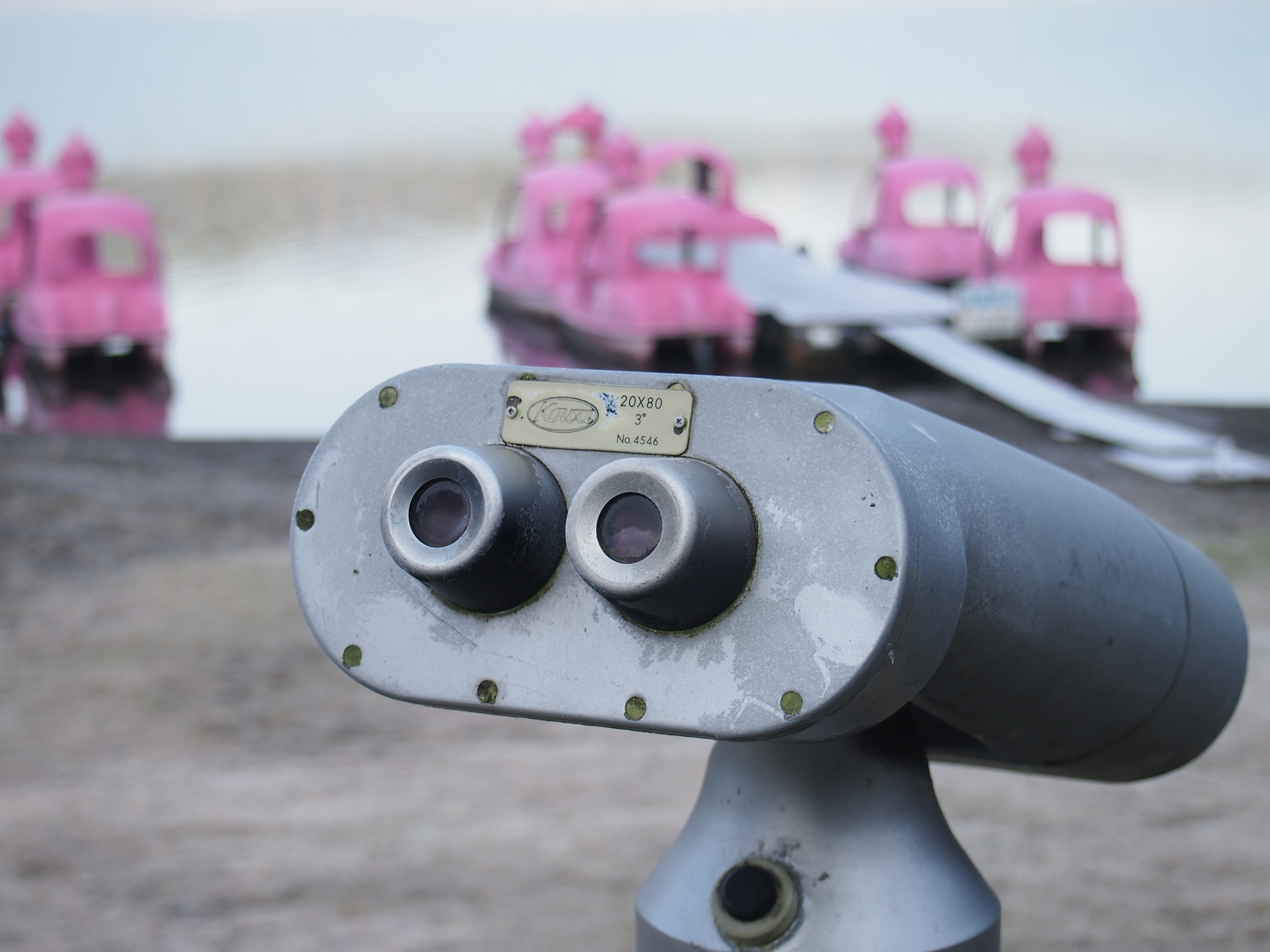 <b>F5.6 / E-P3 / M.ZUIKO DIGITAL 14-42mm F3.5-5.6 II R / 約4.2MB / 4,032×3,024 / 1/160秒 / +0.7EV / ISO200 / WB:オート / 35mm</b>