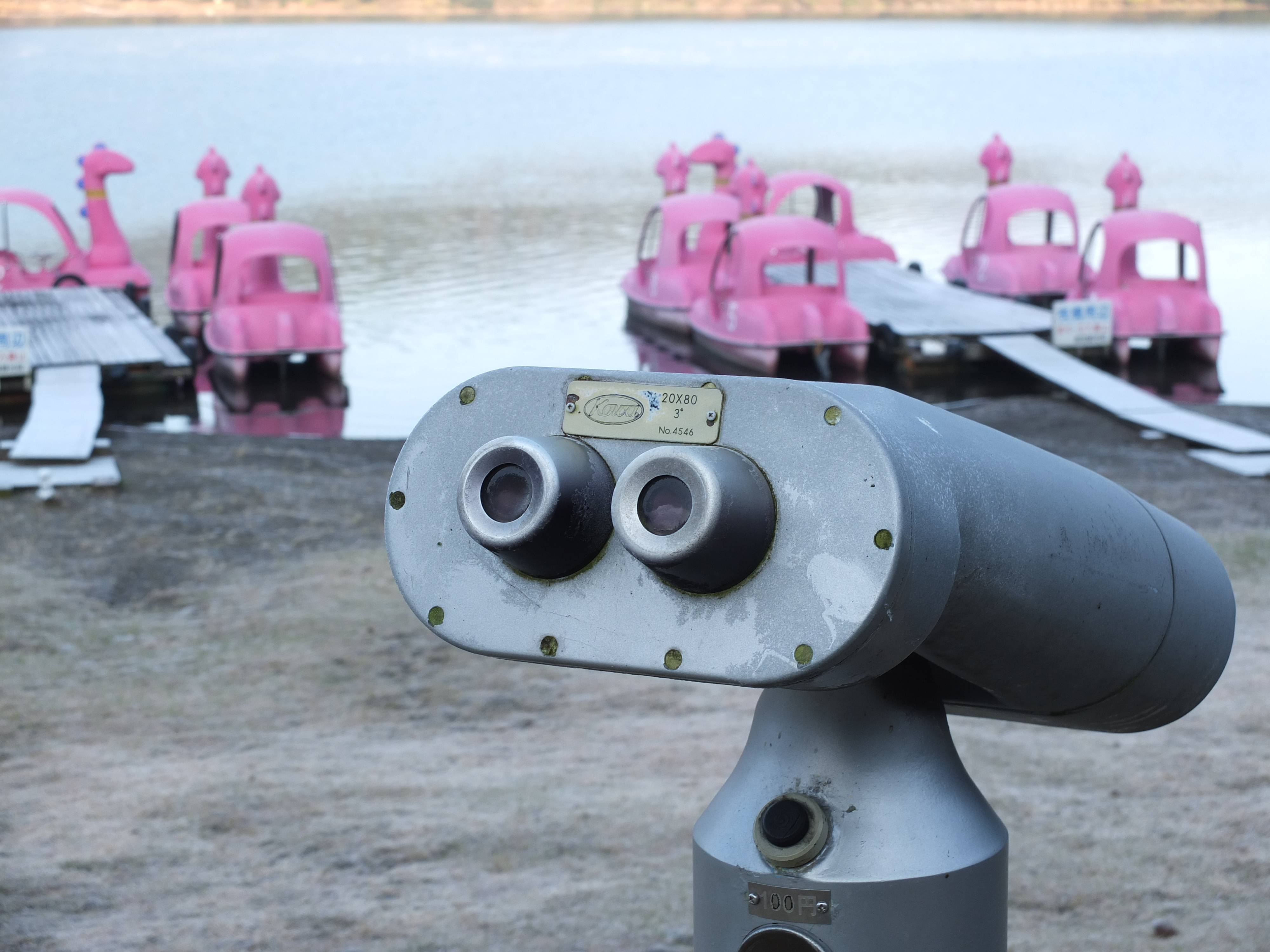 <b>F5.6 / FUJIFILM X10 / 約4.5MB / 4,000×3,000 / 1/100秒 / +0.7EV / ISO100 / WB:オート / 16.7mm</b>