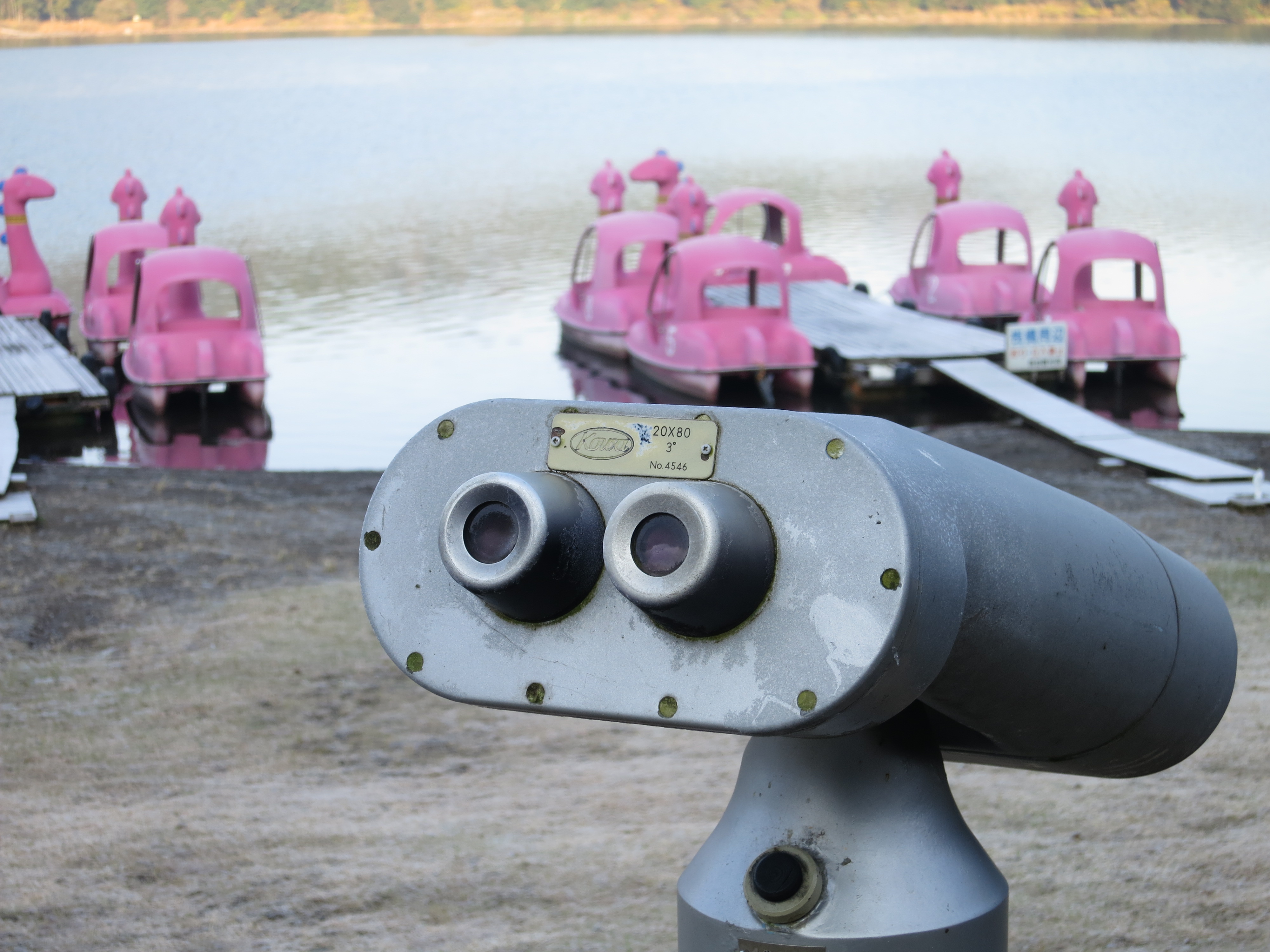 <b>F5.6 / PowerShot S100 / 約2.2MB / 4,000×3,000 / 1/60秒 / +0.3EV / ISO80 / WB:オート / 14.6mm</b>