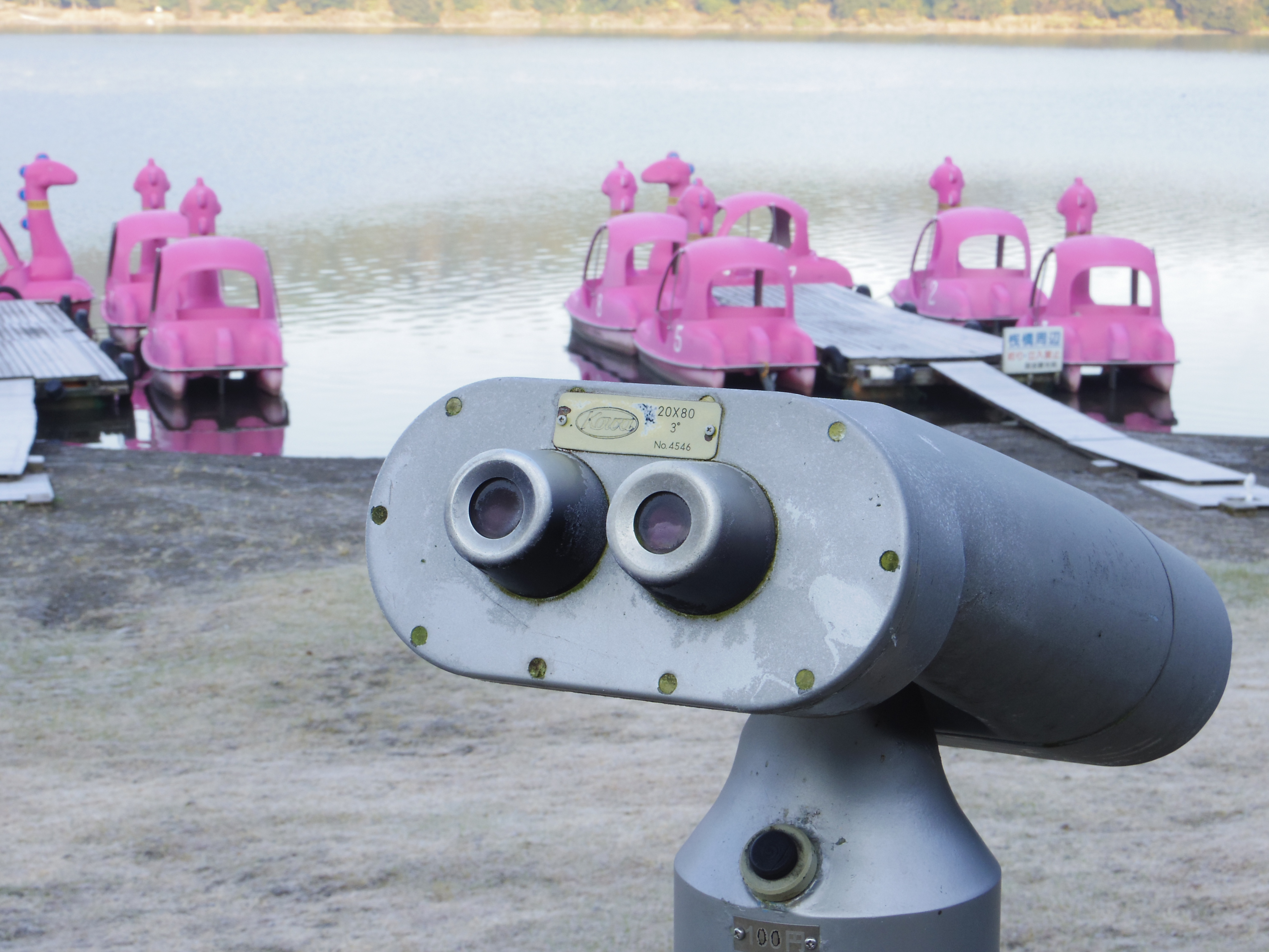 <b>F5.6 / PENTAX Q / PENTAX-02 STANDARD ZOOM / 約2.1MB / 4,000×3,000 / 1/60秒 / +1.0EV / ISO125 / WB:オート / 11.7mm</b>