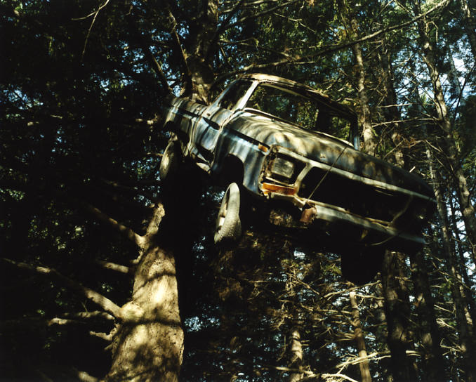 <b>（c）岩根愛</b>