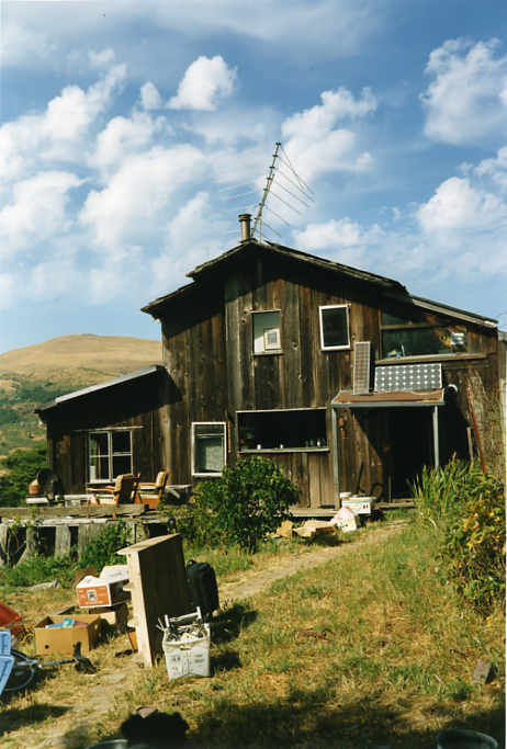 <b>（c）岩根愛</b>