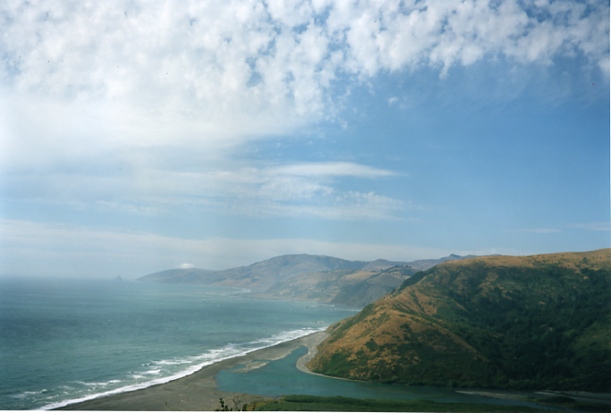 <b>（c）岩根愛</b>