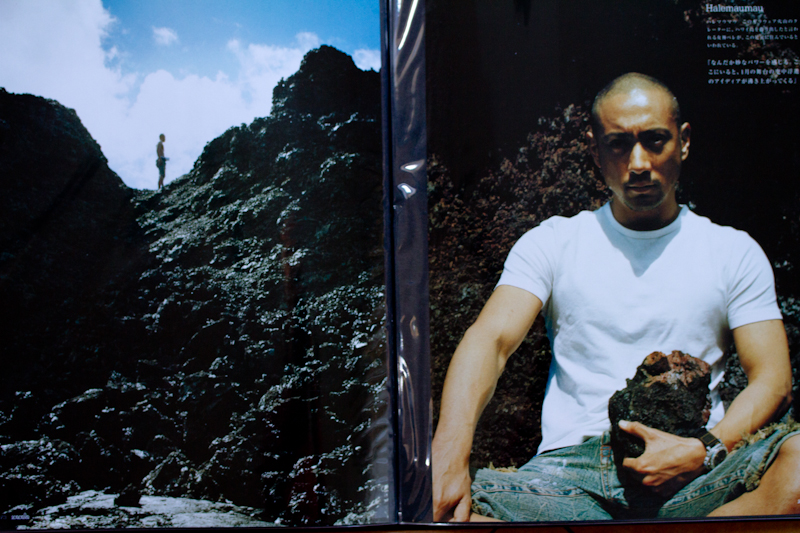 <b>（c）岩根愛</b>