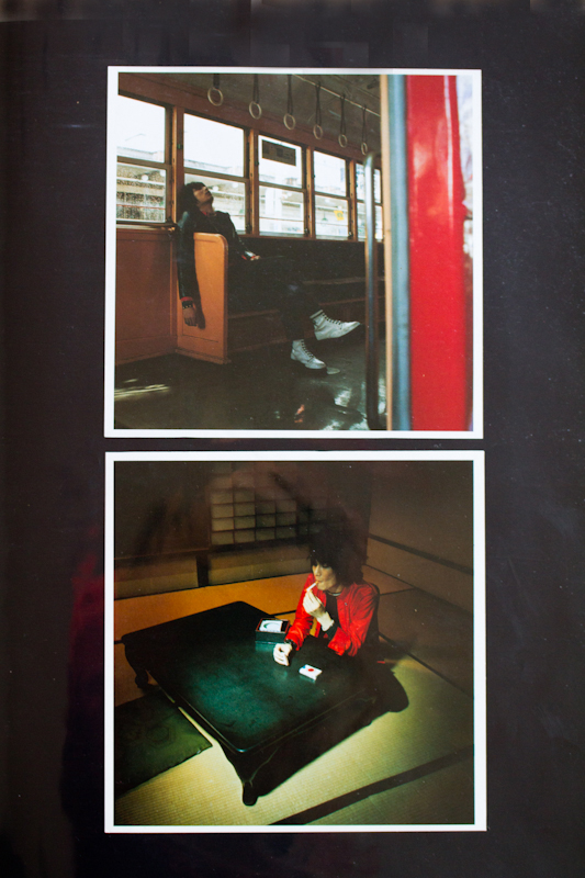 <b>（c）岩根愛</b>