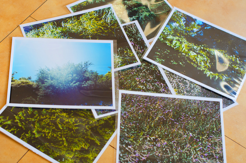 <b>このシリーズは未だ完成していないので門外不出らしいが、テストでプリントしたもの数枚をまとめてチラリと（笑）</b>