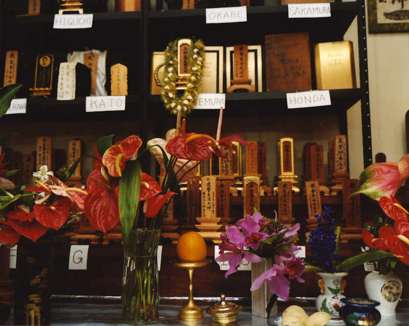 <b>（c）岩根愛</b>