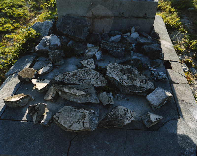 <b>（c）岩根愛</b>