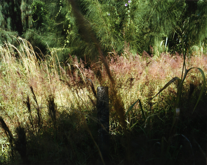 <b>（c）岩根愛</b>