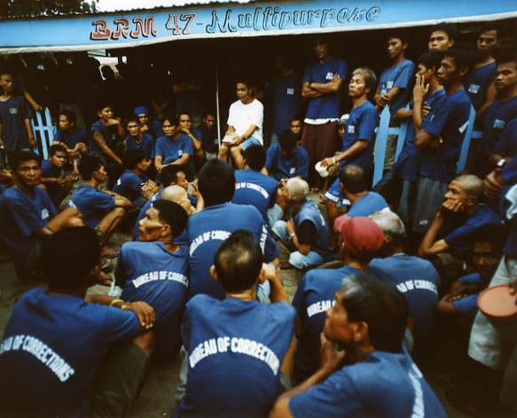 <b>（c）岩根愛</b>