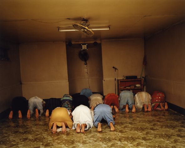 <b>（c）岩根愛</b>