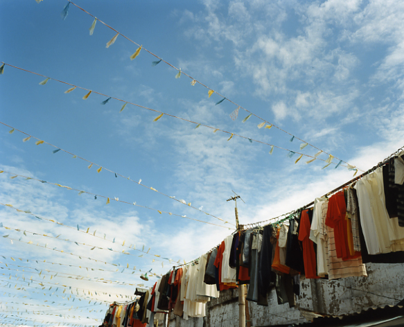 <b>（c）岩根愛</b>