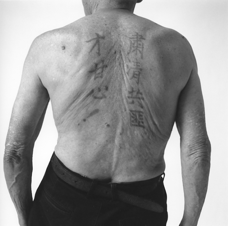 <b>（c）岩根愛</b>