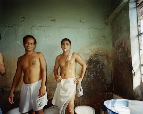 <b>（c）岩根愛</b>