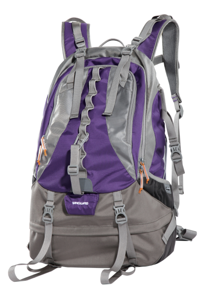 <b>Kinray 48（パープル）</b>