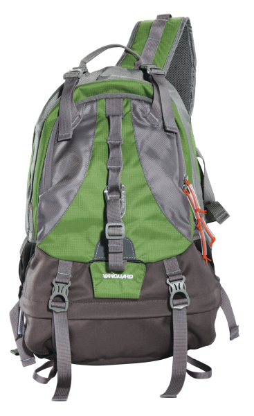 <b>Kinray 43（グリーン）</b>