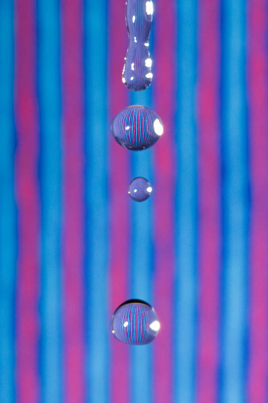 <b>ニコンD300+タムロン SP AF 90mm F2.8+ニコン スピードライトSB-800 / マニュアル露出 / 1/320秒 / F16（撮影後にトリミング）</b>