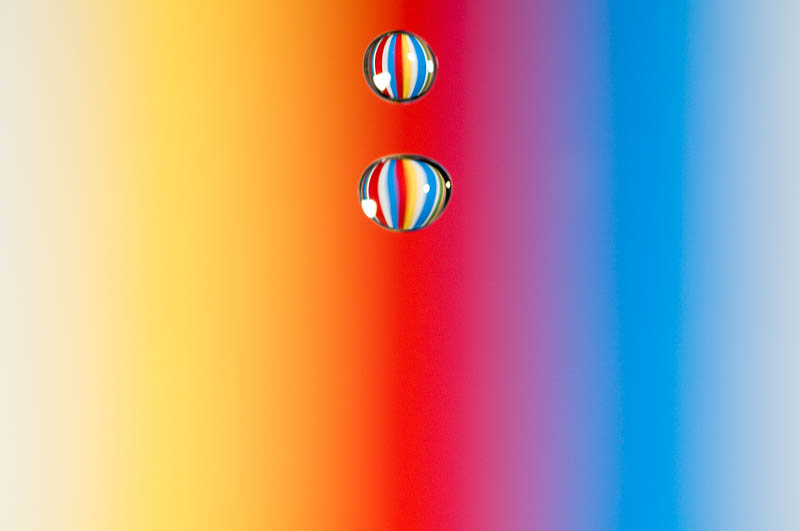 <b>ニコンD300+タムロン SP AF90mm F2.8+ニコン スピードライトSB-800 / マニュアル露出 / 1/250秒 / F8（撮影後にトリミング）</b>