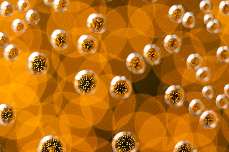 <b>気泡入りアクリル板を使ってイルミネーションを撮影。宙玉と同じようにバックはかなりボケる。ニコンD700+コシナULTRON 40mm F2+接写リング / マニュアル露出 / 1/13秒 / F8</b>