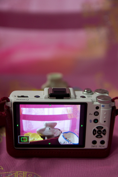 <b>2倍に拡大。ピント周辺のボケ具合などを確認する時に便利です</b>