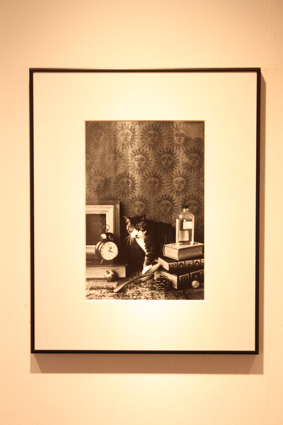 <b>(c) ueno masako</b>