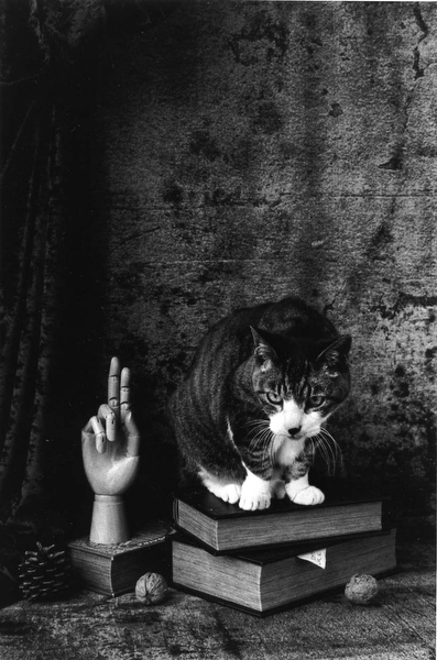 <b>(c) ueno masako</b>