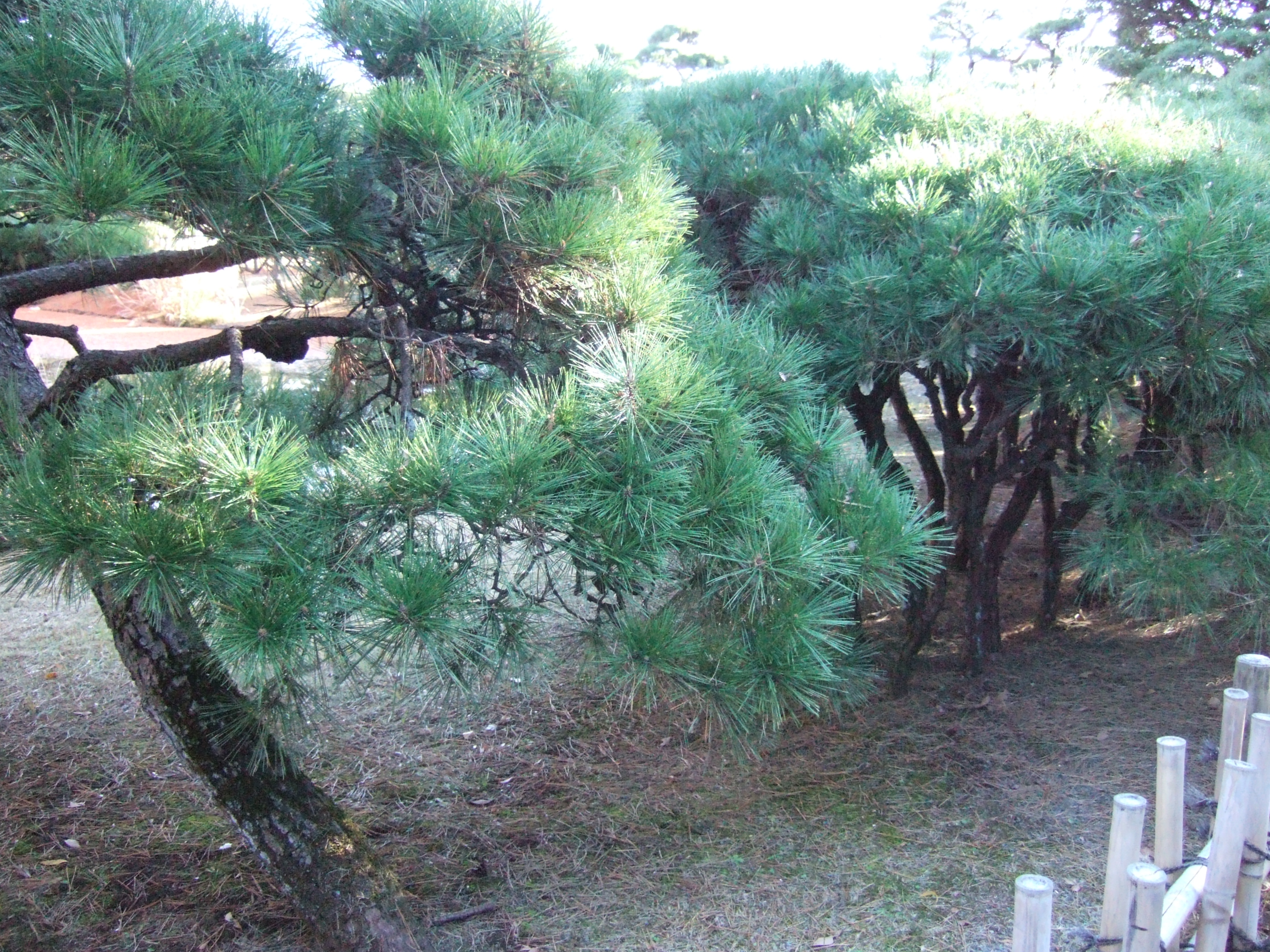 <b>「FinePix F10」のISO1600</b>