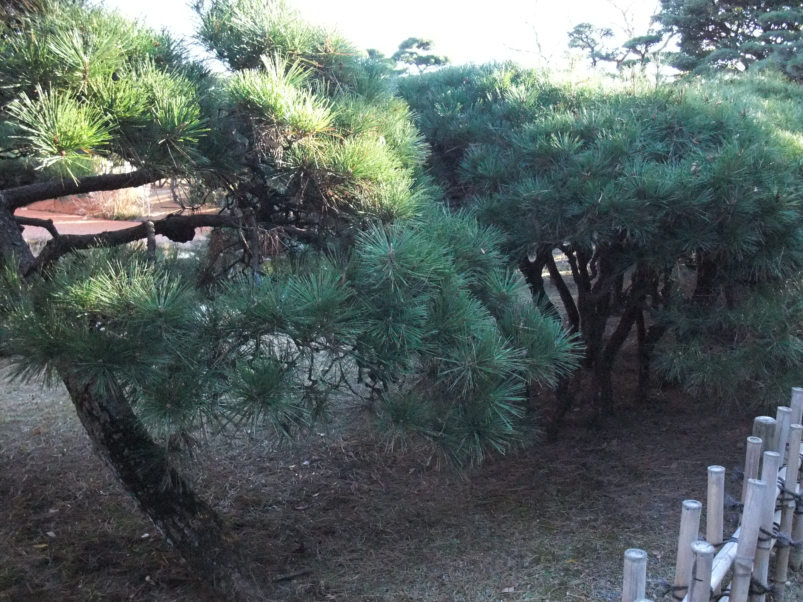 <b>「FinePix F200EXR」のISO1600</b>