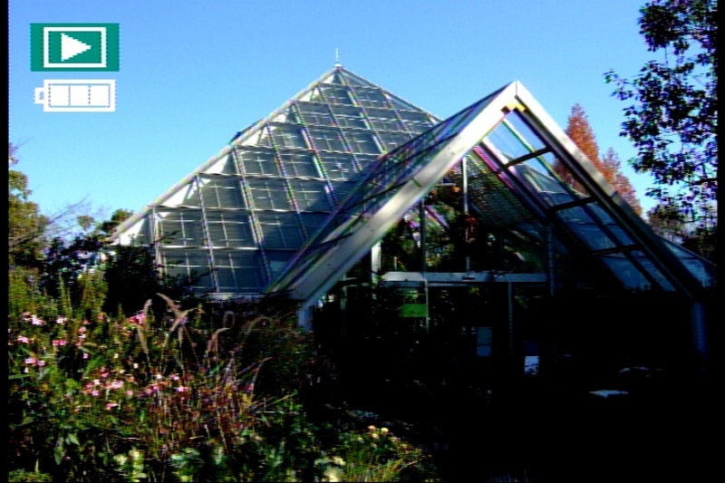 <b>画像再生時の表示切り換えは、DISP/BACKボタンを押して行なう。文字表示あり→文字表示なし→マルチ再生→日付再生→（文字表示あり、に戻る）…というローテーション。だが、文字表示ありを選択しても、その画像が表示された3秒後くらいには、文字が自動的に消えてしまう（再生モードとバッテリー残量警告、以外が）。おいおい、切り換えた意味ないぞー!</b>