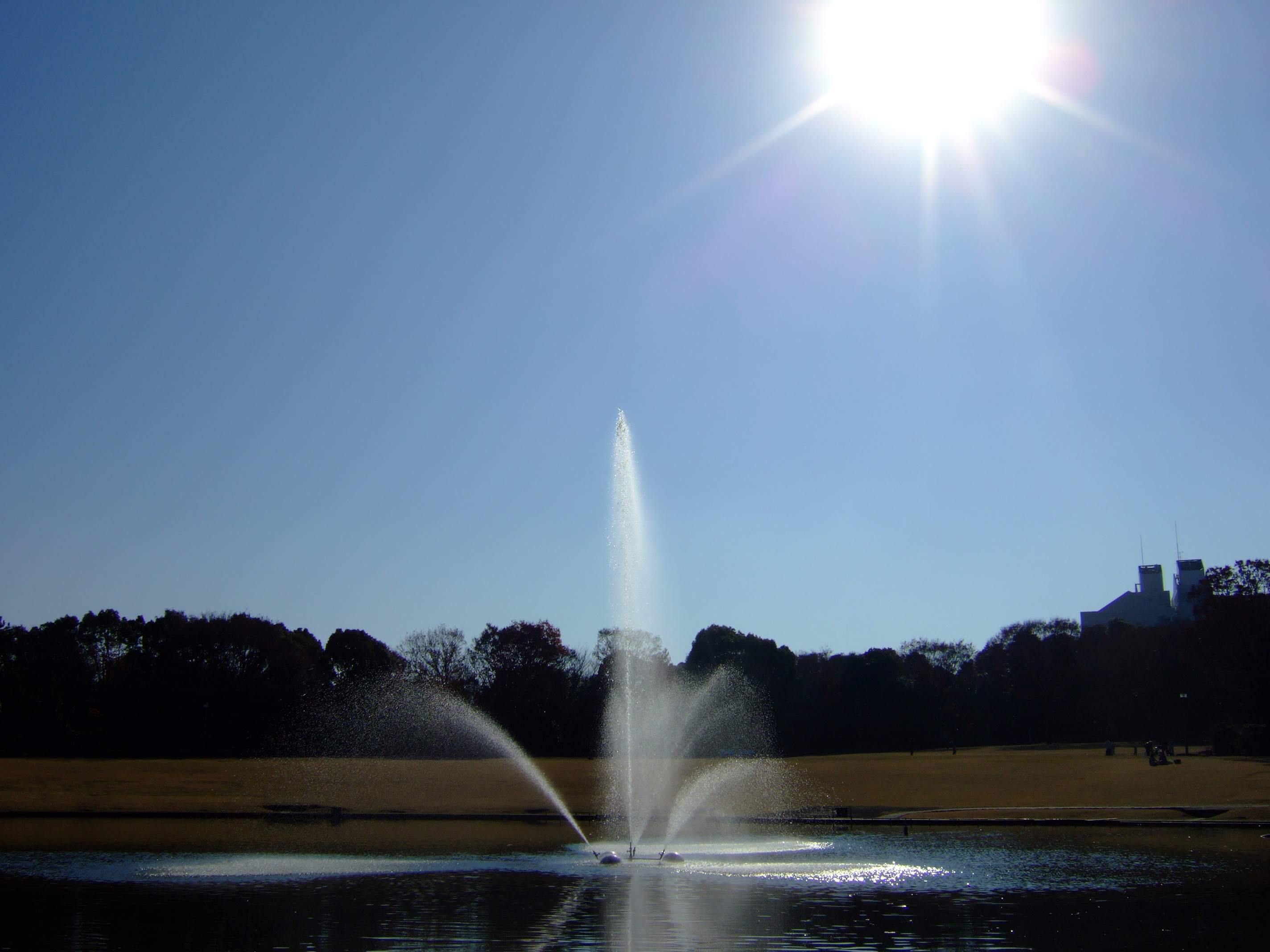 <b>FinePix F10 / 約3.2MB / 2,848×2,136 / 1/800秒 / F8 / -0.3EV / ISO80 / 8mm / F-クローム</b>