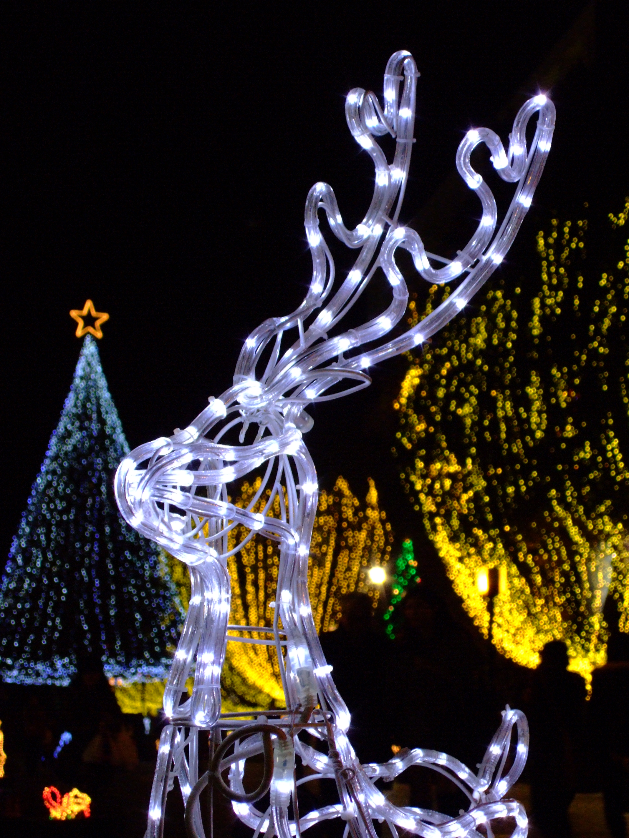 <b>FinePix F10 / 約2.7MB / 2,136×2,848 / 1/30秒 / F5 / 0EV / ISO800 / 24mm / F-クローム</b>