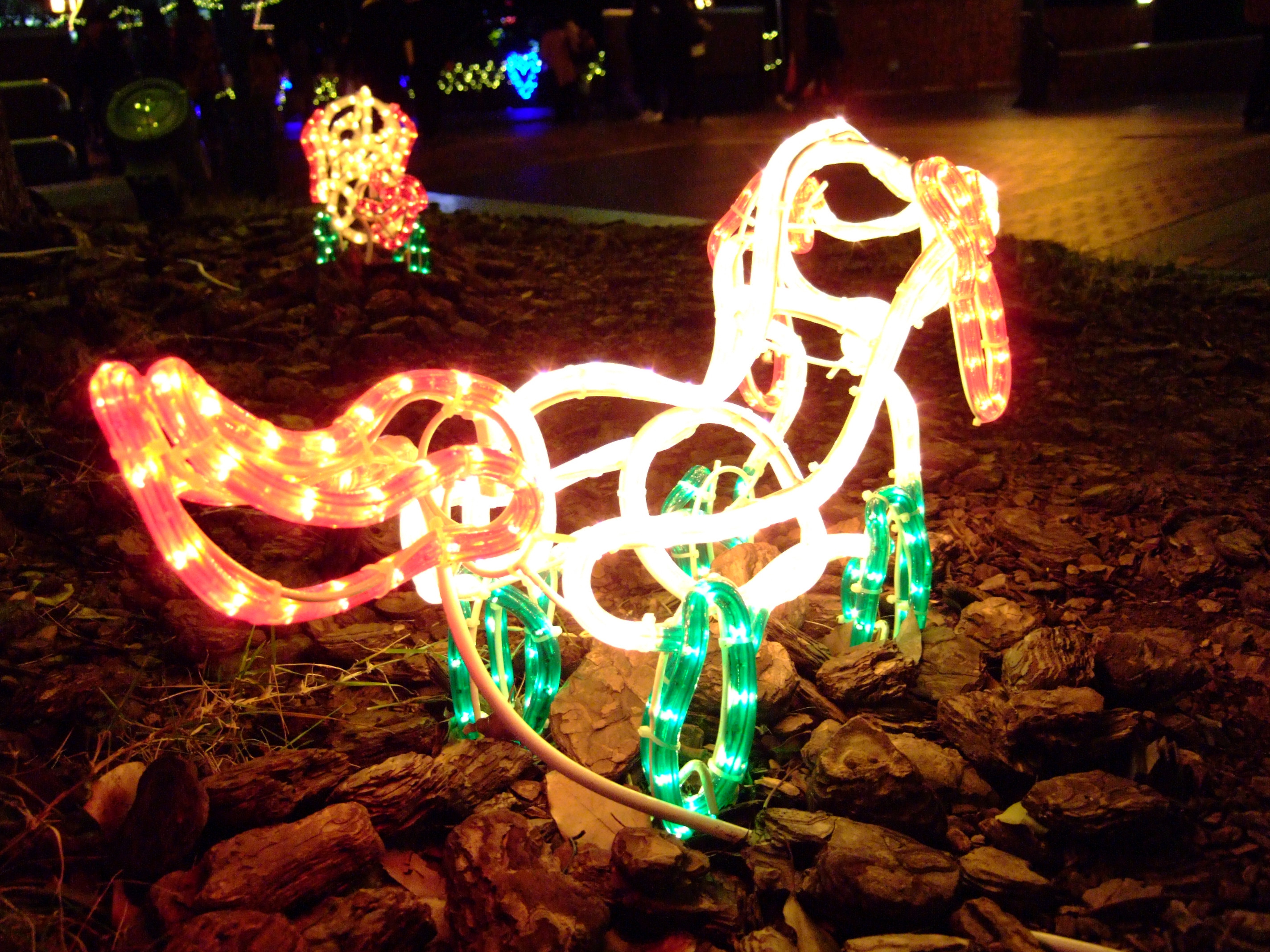 <b>FinePix F10 / 約2.8MB / 2,848×2,136 / 1/20秒 / F2.8 / +0.3EV / ISO800 / 8mm / F-クローム</b>