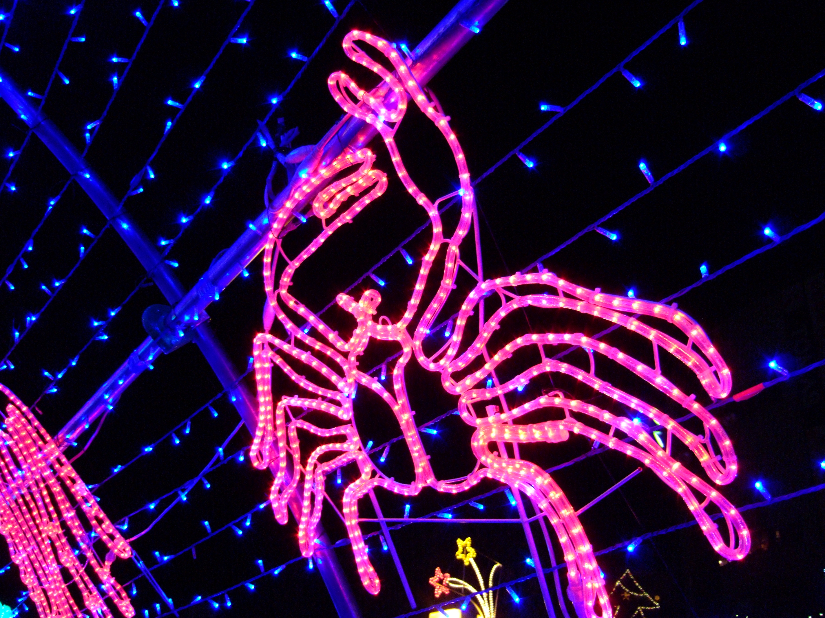 <b>FinePix F10 / 約2.7MB / 2,848×2,136 / 1/50秒 / F2.8 / 0EV / ISO800 / 8mm / F-クローム</b>