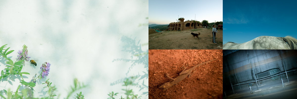 <b>(c) Takashi Mochizuki</b>