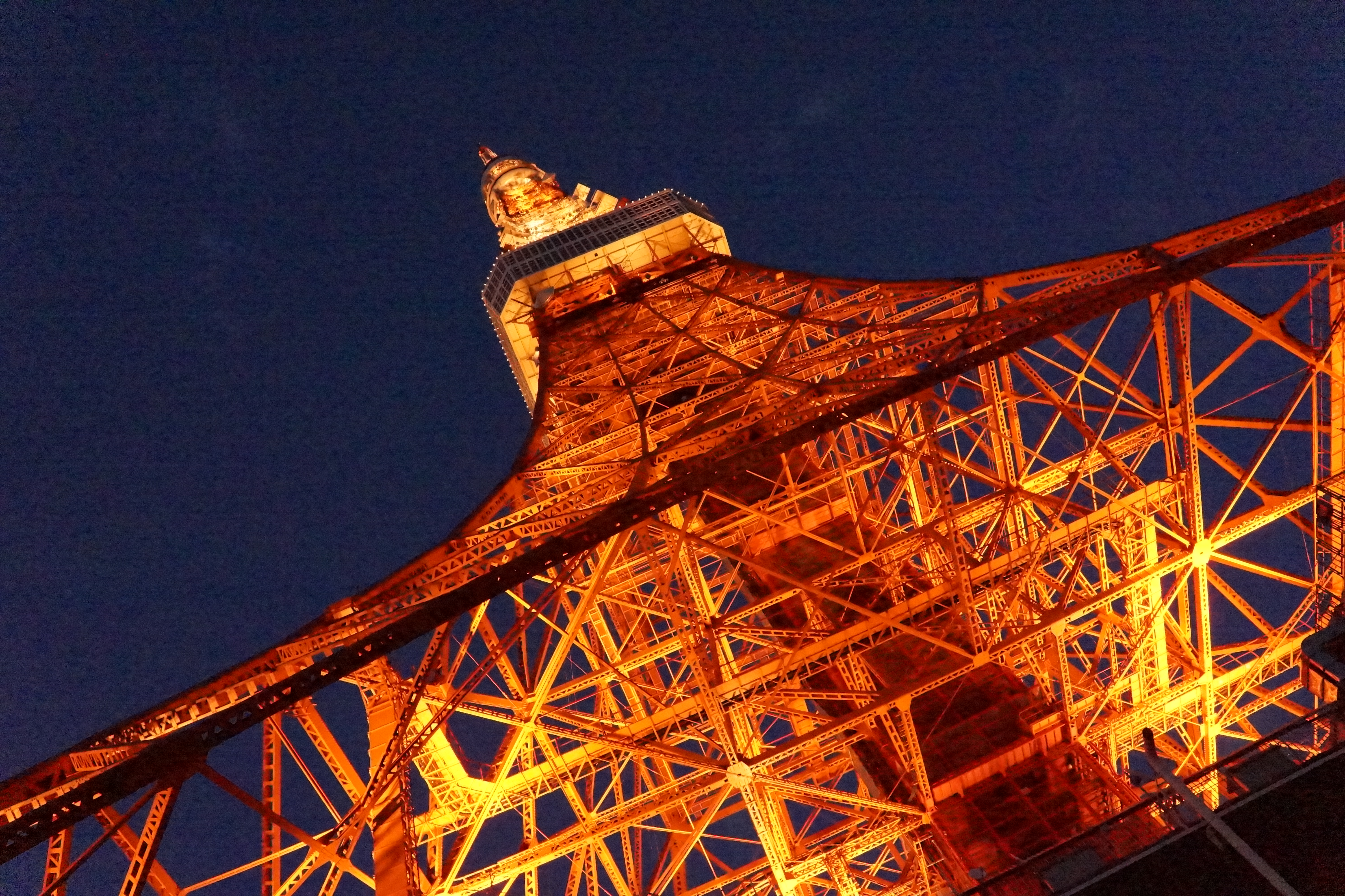 <b>NR:強 / ISO12800 / NEX-7 / E 18-55mm F3.5-5.6 OSS / 10.7MB / 6,000×4,000 / 1/400秒 / F8 / +0.3EV / WB:オート / 18mm</b>