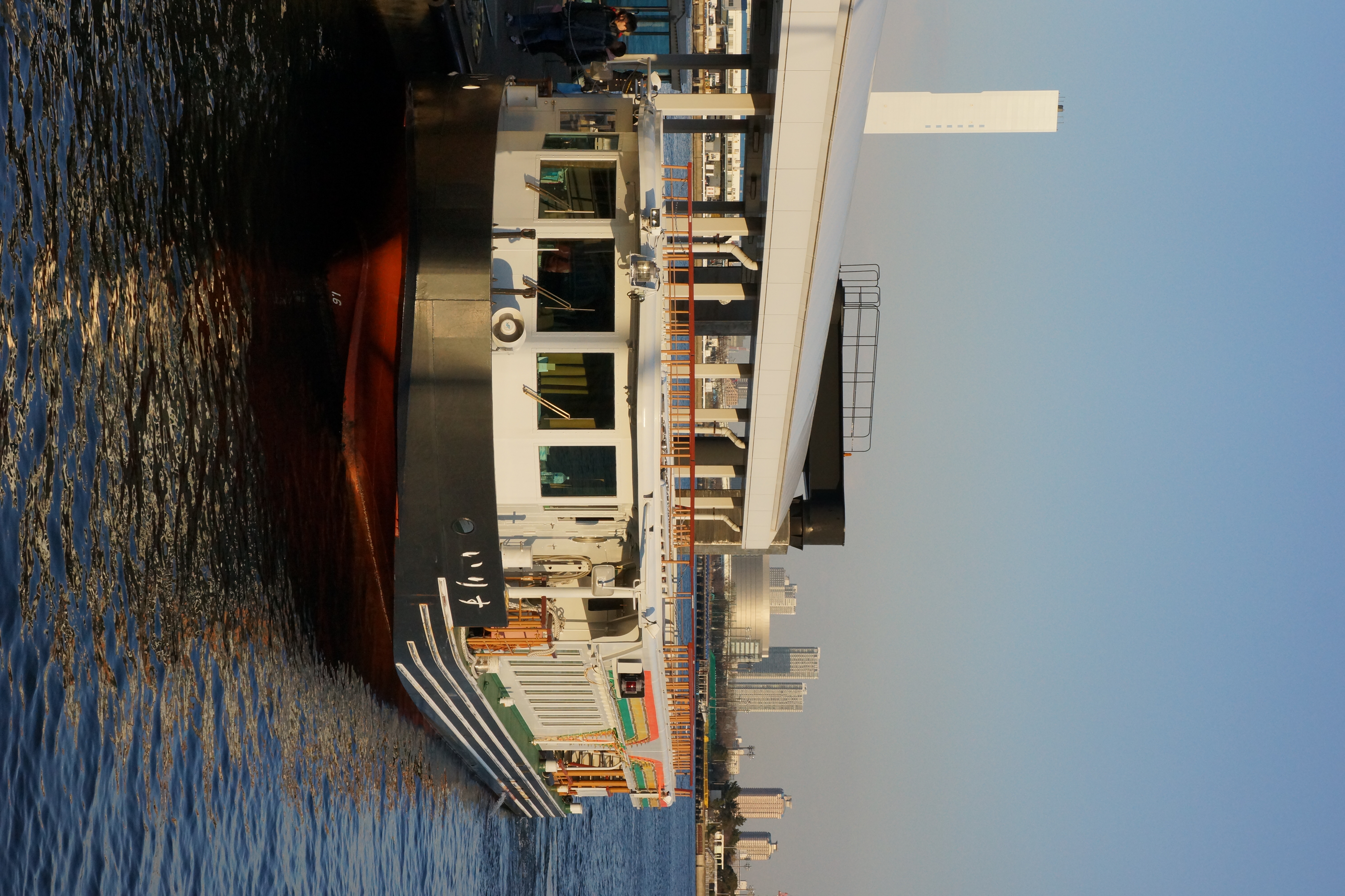 <b>NEX-7 / E 18-55mm F3.5-5.6 OSS / 6.5MB / 4,000×6,000 / 1/1,600秒 / F10 / -0.3EV / ISO800 / WB:オート / 46mm</b>