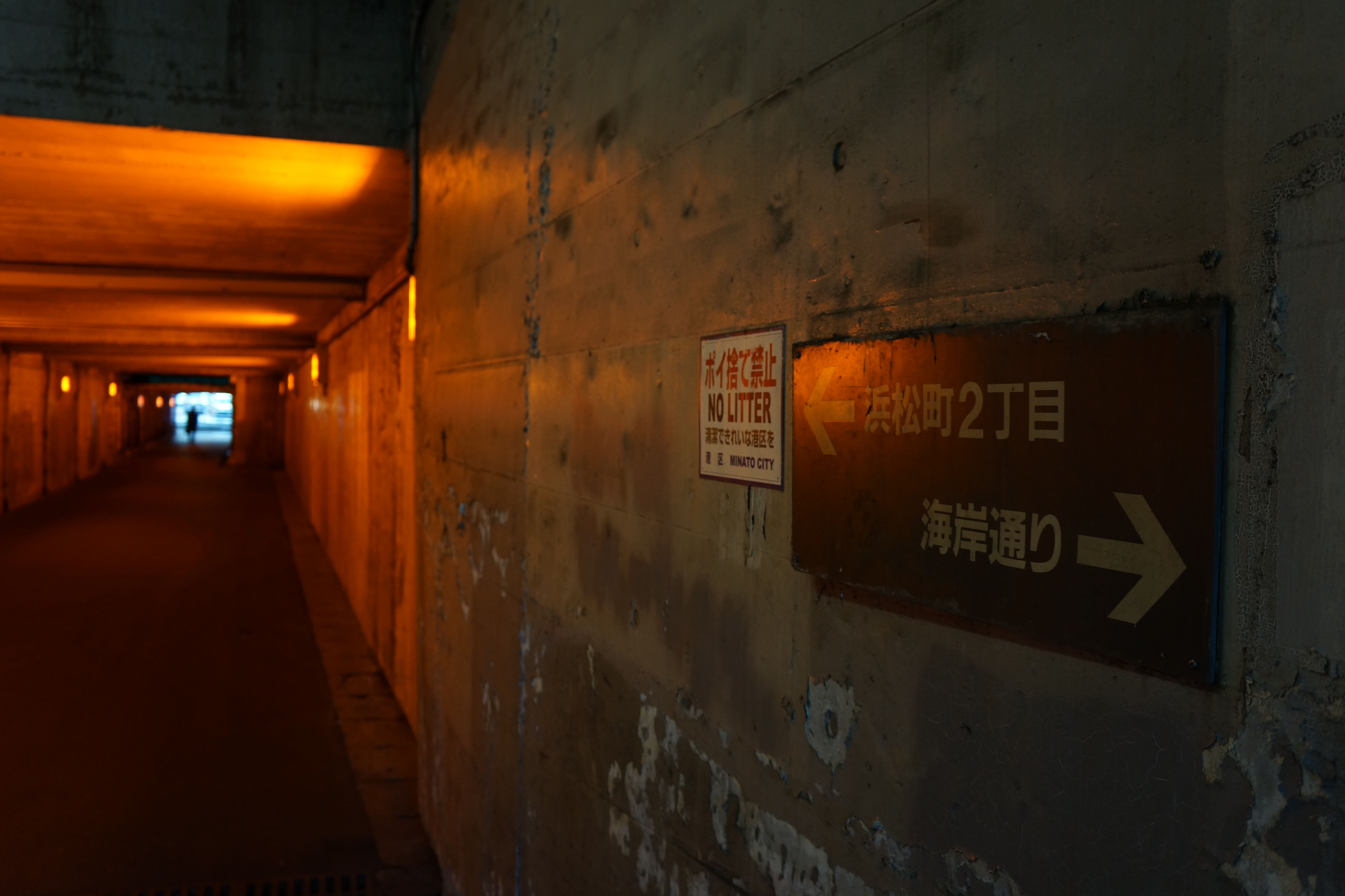 <b>NEX-7 / E 18-55mm F3.5-5.6 OSS / 3.8MB / 6,000×4,000 / 1/30秒 / F3.5 / -1.0EV / ISO400 / WB:オート / 20mm</b>