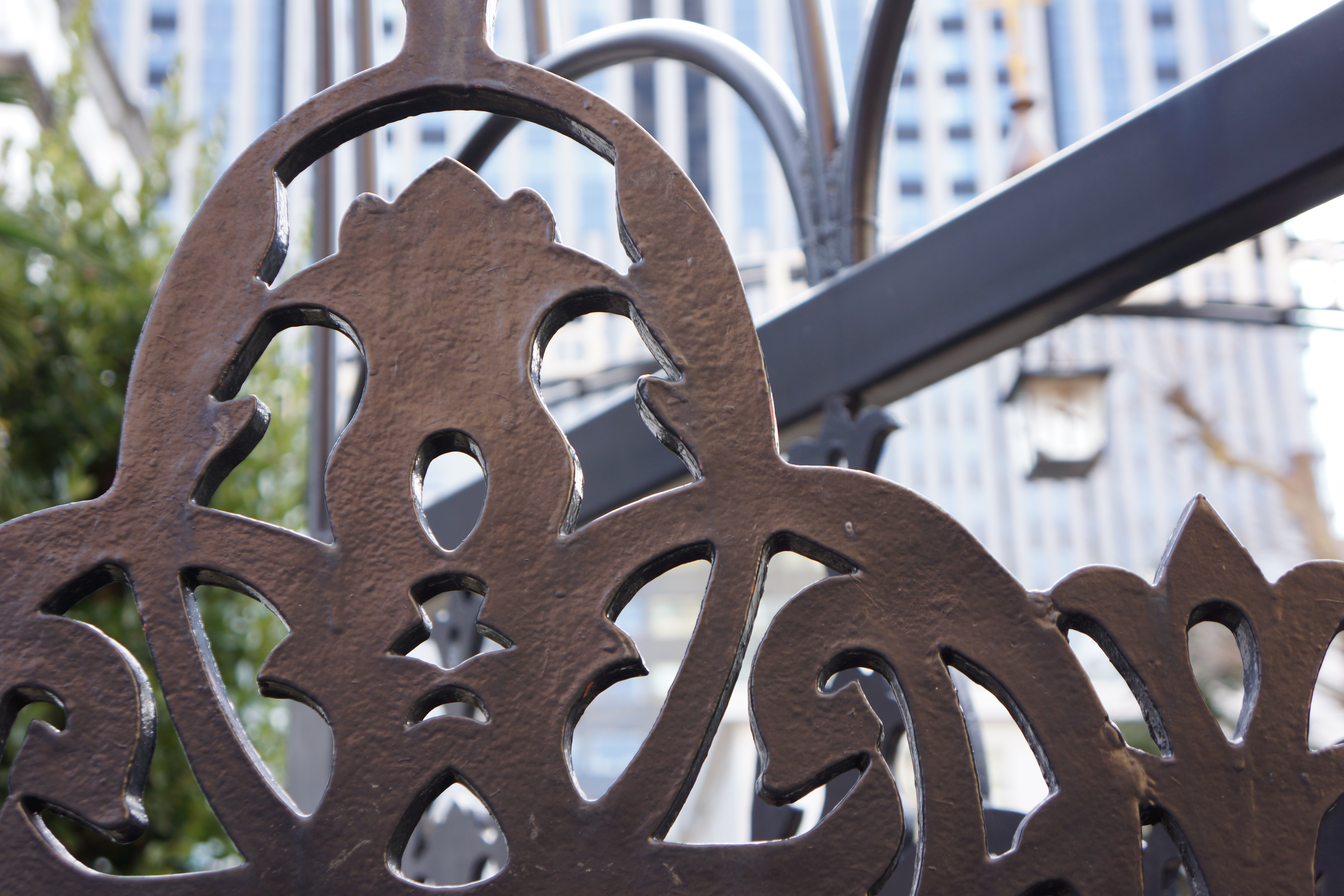 <b>NEX-7 / E 18-55mm F3.5-5.6 OSS / 6.0MB / 6,000×4,000 / 1/60秒 / F4.5 / +0.3EV / ISO100 / WB:オート / 37mm</b>