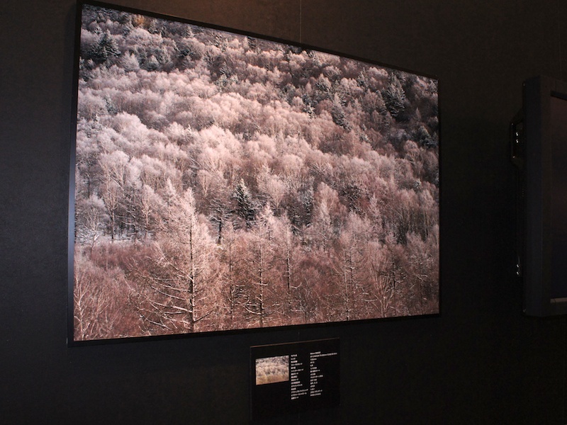 <b>D800Eの撮影サンプル</b>