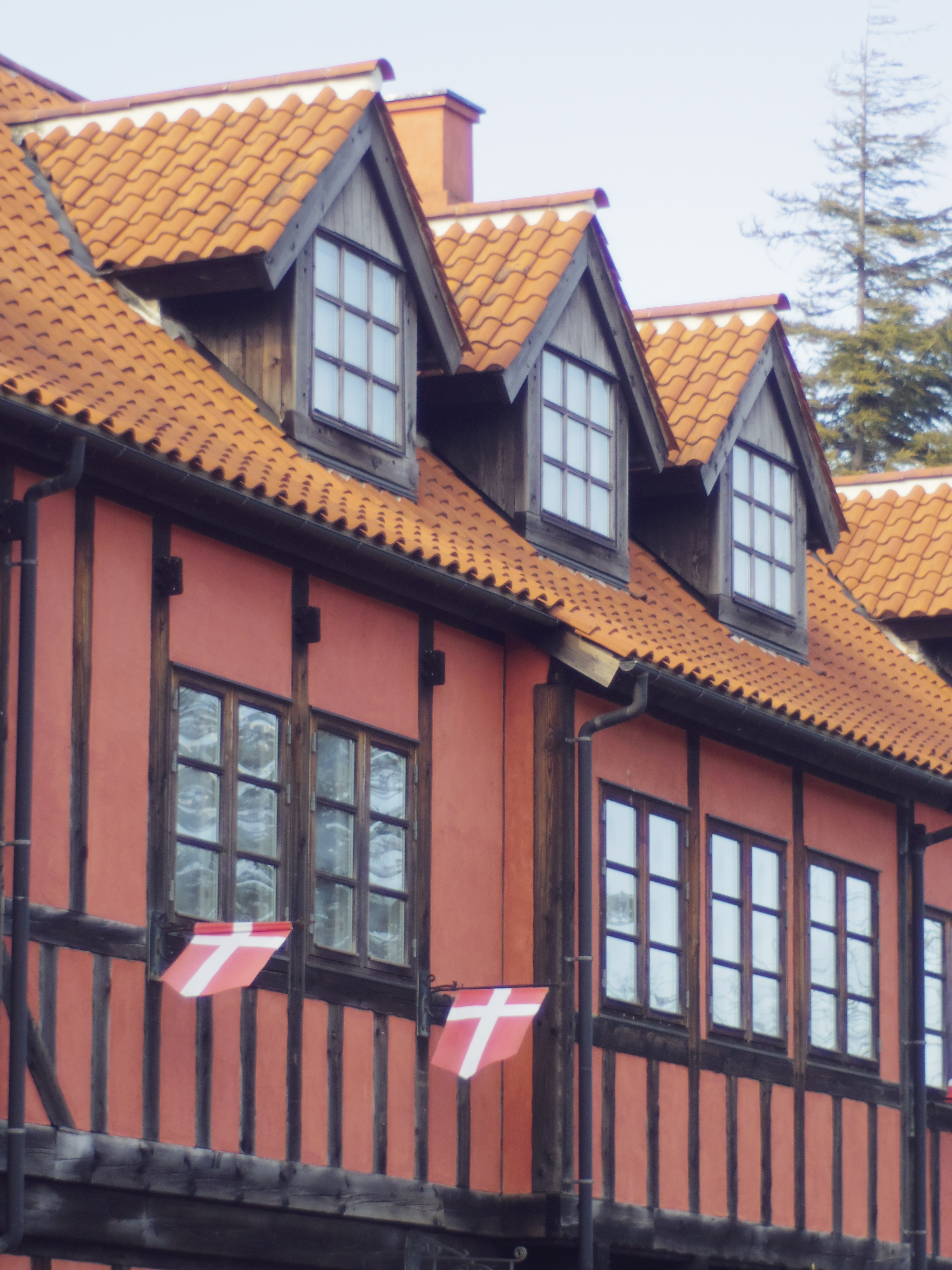 <b>PENTAX Q / ペンタックス110 18mm F2.8 / 約3.1MB / 3,000×4,000 / 1/640秒 / F2.8 / 0.0EV / ISO250 / WB:オート / カスタムイメージ:鮮やか</b>