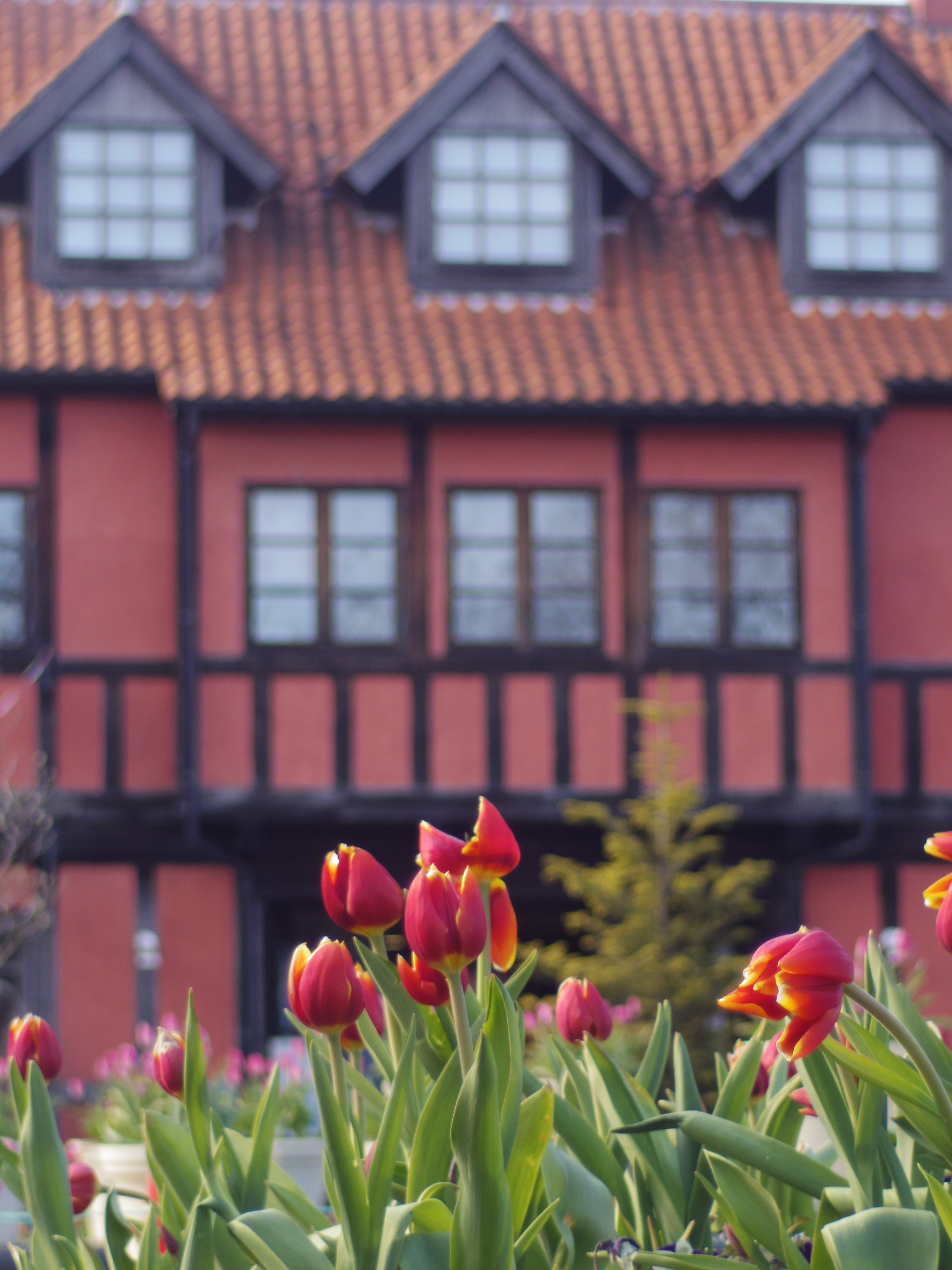 <b>PENTAX Q / ペンタックス110 18mm F2.8 / 約2.7MB / 3,000×4,000 / 1/250秒 / F2.8 / -0.3EV / ISO125 / WB:オート / カスタムイメージ:鮮やか</b>