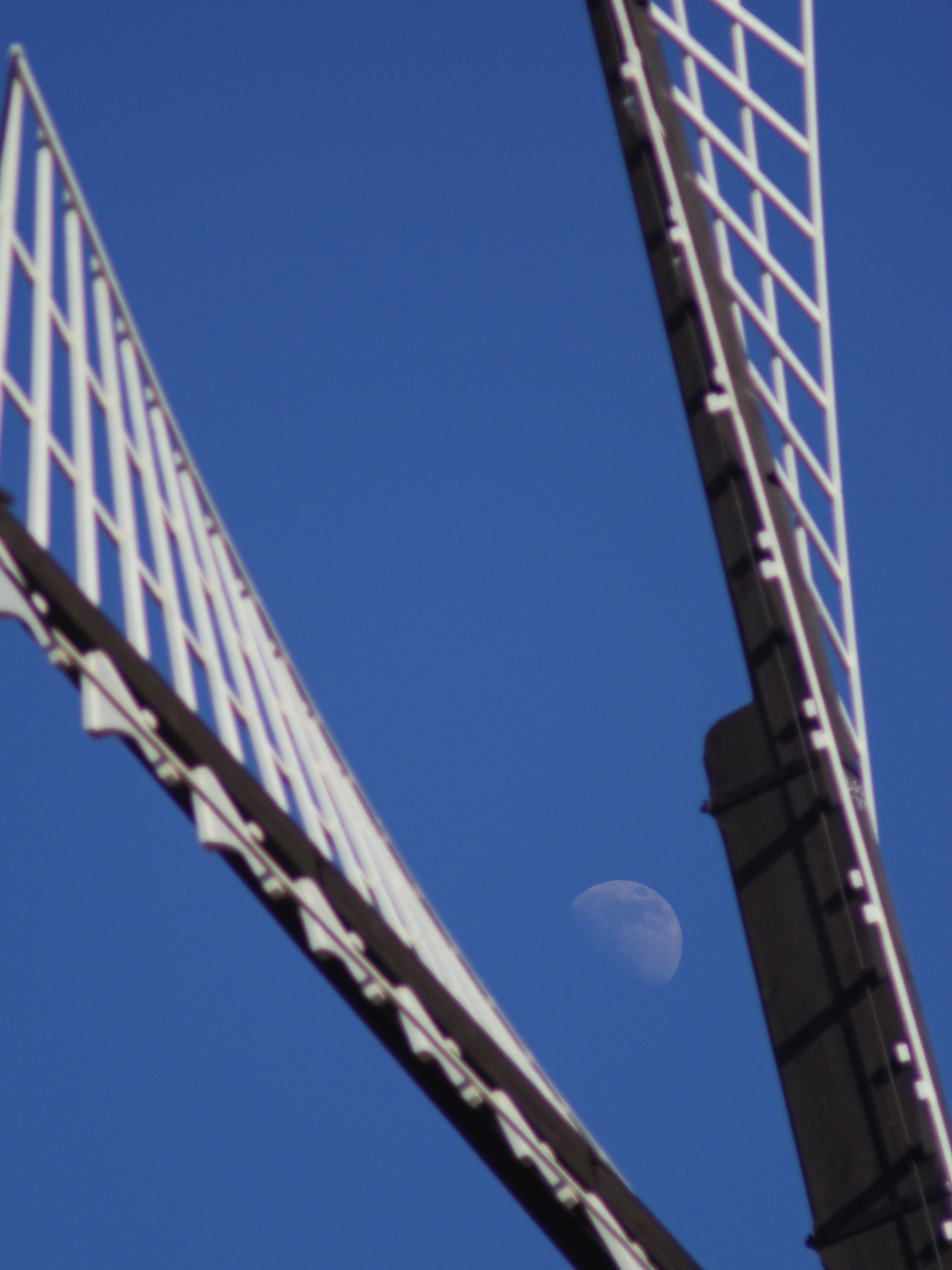 <b>PENTAX Q / ペンタックス110 70mm F2.8 / 約2.1MB / 3,000×4,000 / 1/3,200秒 / F2.8 / -0.3EV / ISO125 / WB:オート / カスタムイメージ:鮮やか</b>