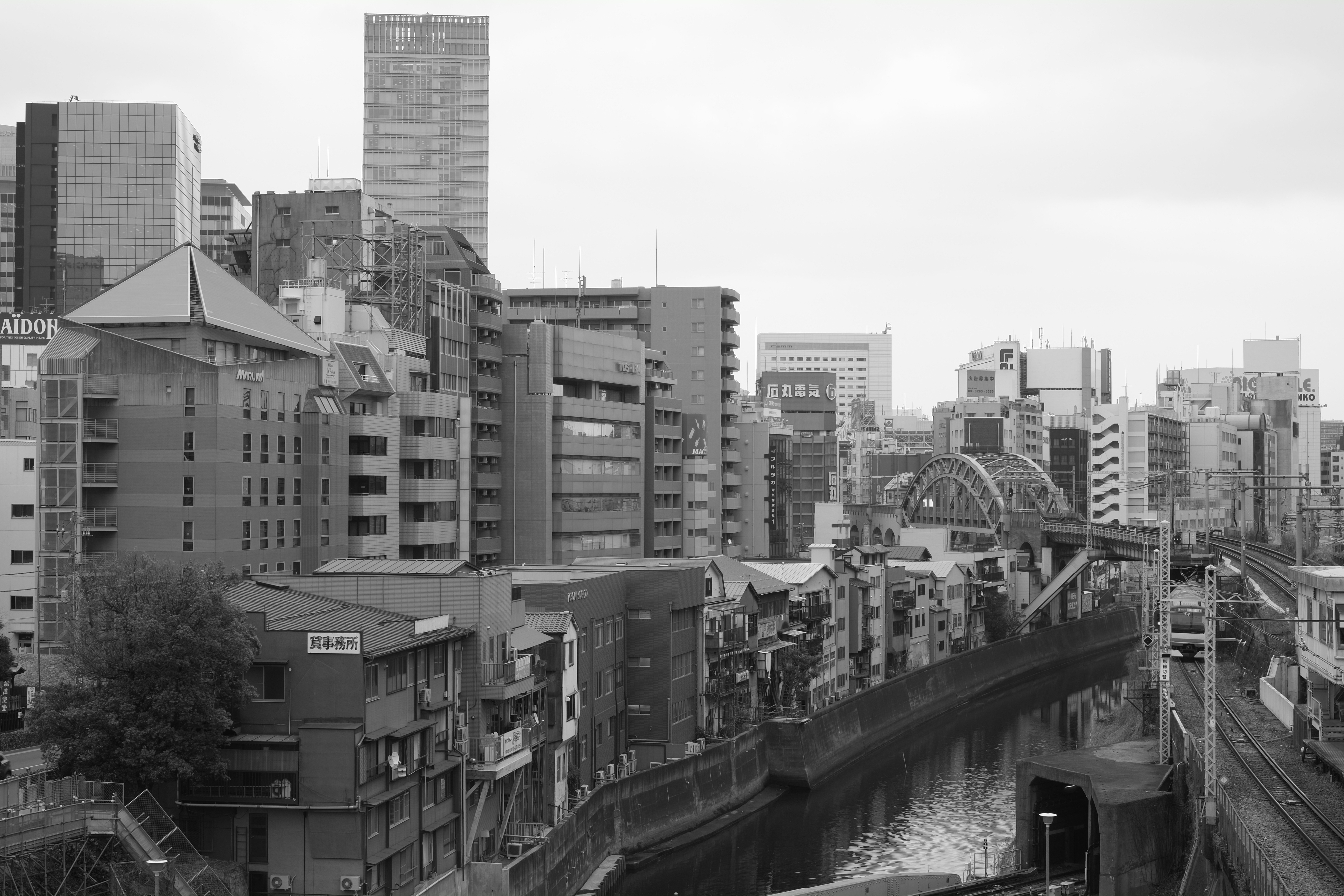 <b>フィルムシミュレーション:モノクロ+Yeフィルター / FUJIFILM X-Pro1 / 4.7MB / 4,896×3,264 / 1/50秒 / F8 / +0.7EV / ISO200 / WB:オート / 35mm</b>