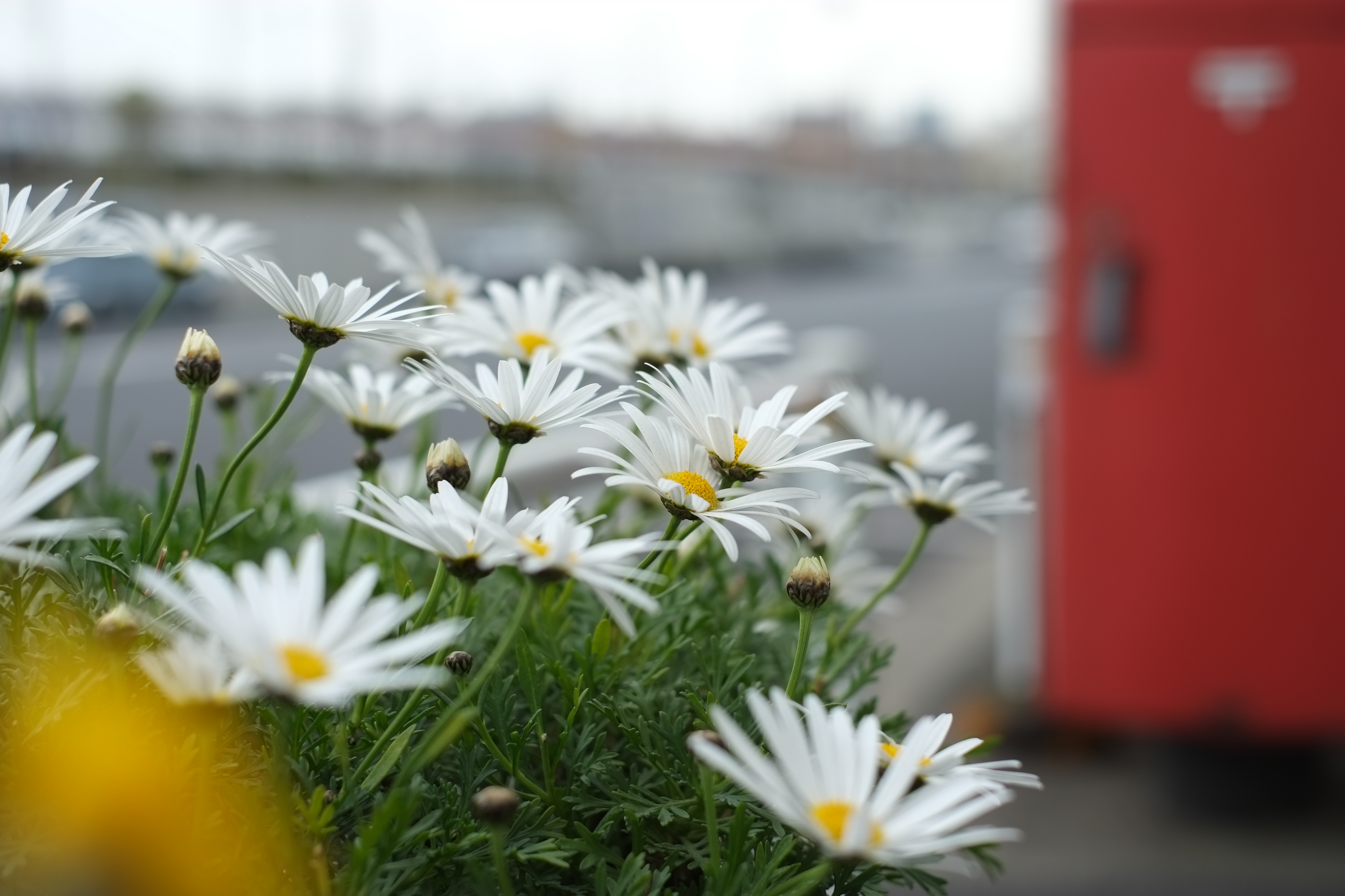 <b>FUJIFILM X-Pro1 / 3.4MB / 4,896×3,264 / 1/500秒 / F2.8 / 0.0EV / ISO200 / WB:オート / 35mm</b>