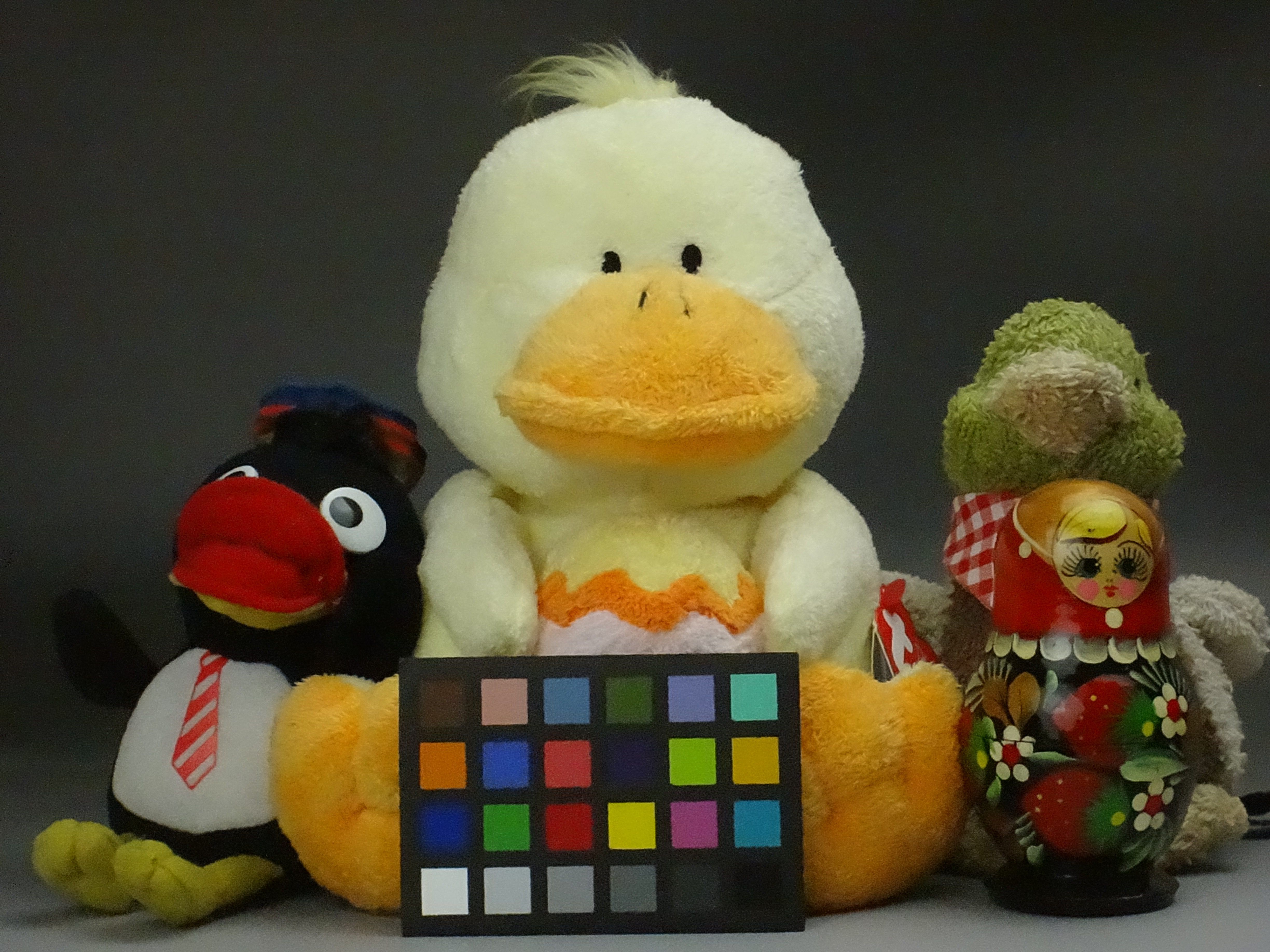 <b>ISO6400 / DSC-TX300V / 約3.8MB / 4,896×3,672 / 1/1,000秒 / F6.3 / 0.0EV / 13.4mm</b>