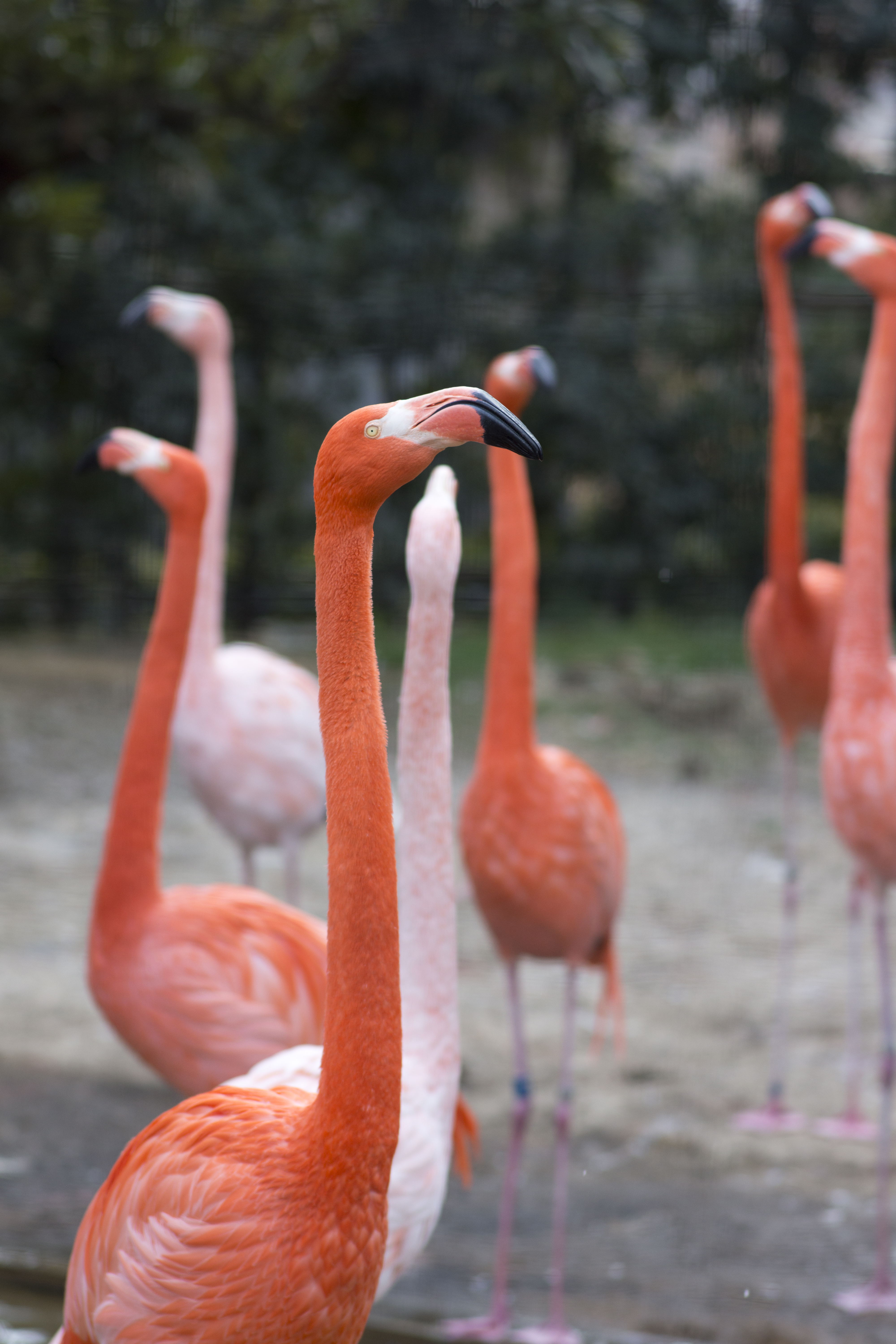 <b>NEX-7 / Planar T* 85mm F1.4 / 6,000×4,000 / 1/800秒 / F2.8 / +0.7EV / ISO200 / WB:オート / 85mm</b>