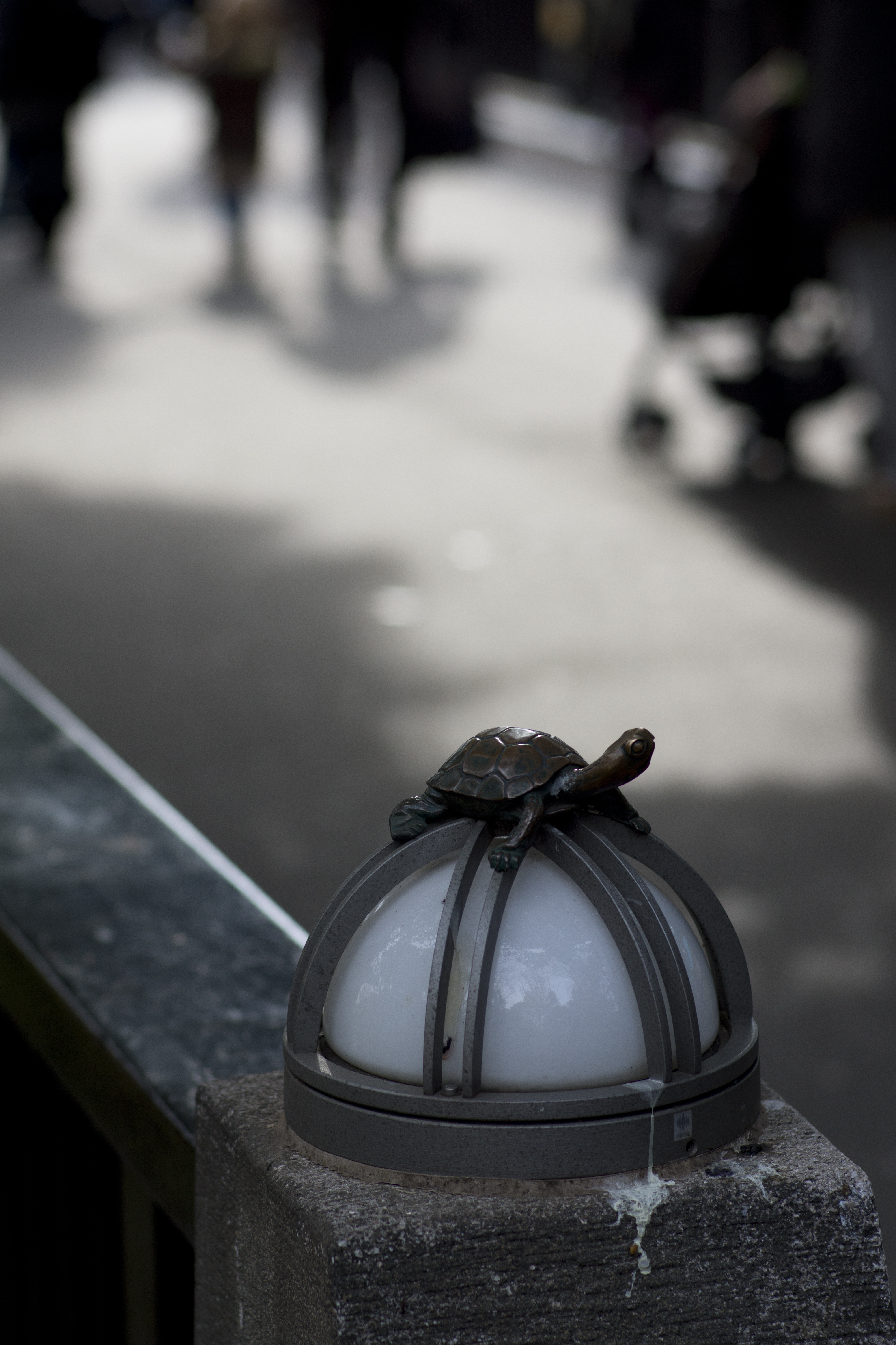 <b>NEX-7 / Planar T* 85mm F1.4 / 6,000×4,000 / 1/640秒 / F2.8 / 0EV / ISO200 / WB:オート / 85mm</b>