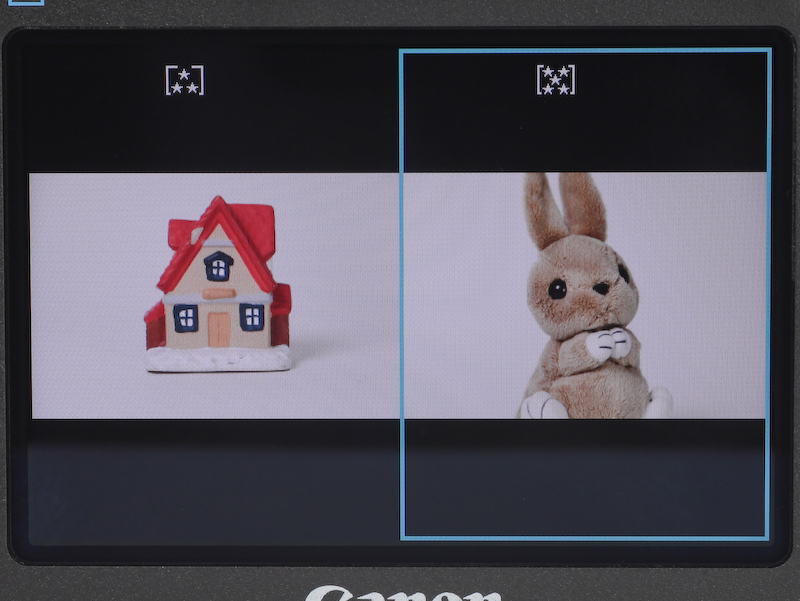 <b>2画面再生を行なったところ。設定したレーティングも表示される</b>